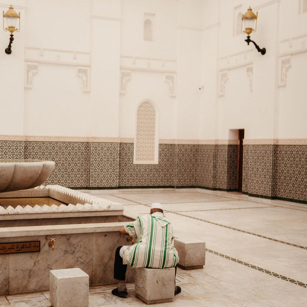 Zellij Moroccan Tiles MagSafe iPhone Case